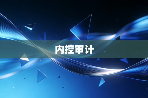 内控审计