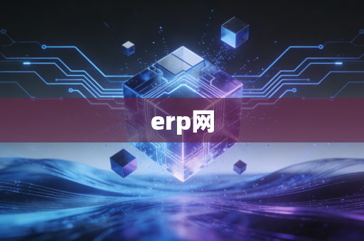 erp网