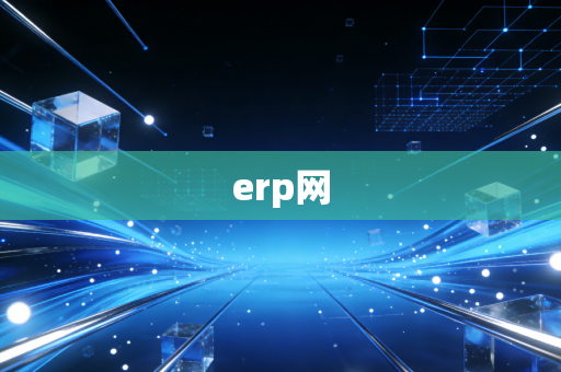 erp网