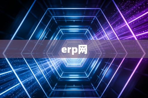 erp网