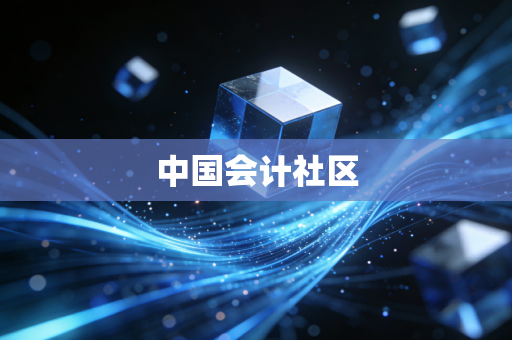 中国会计社区