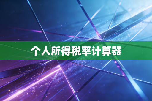 个人所得税率计算器