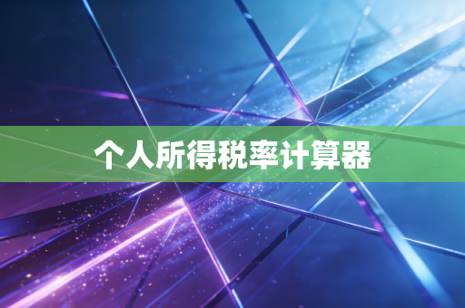 个人所得税率计算器