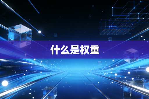 什么是权重
