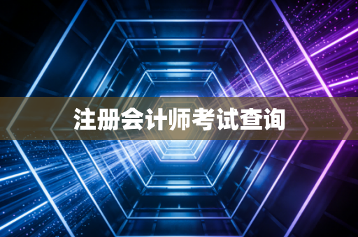 注册会计师考试查询