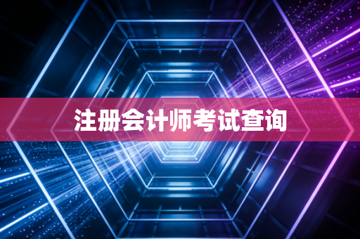 注册会计师考试查询