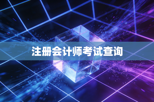注册会计师考试查询