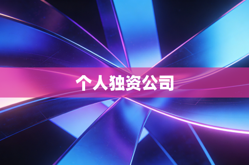 个人独资公司