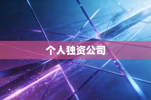 个人独资公司