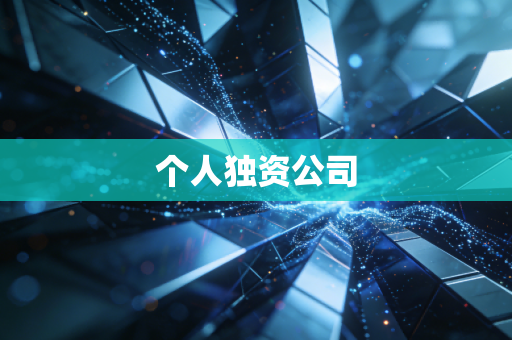 个人独资公司
