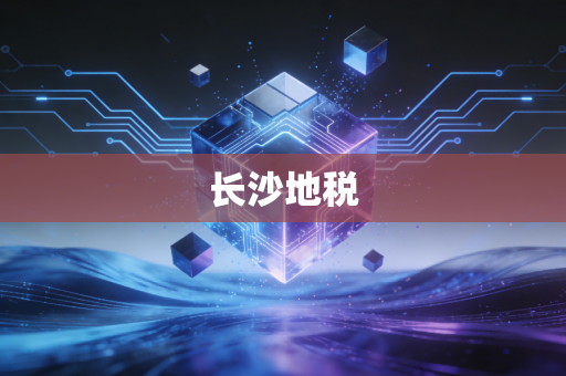 长沙地税
