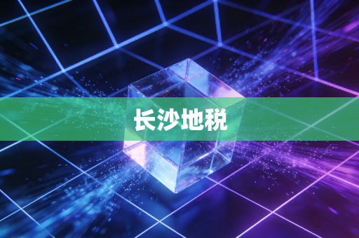 长沙地税