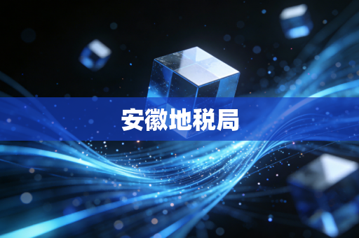 安徽地税局