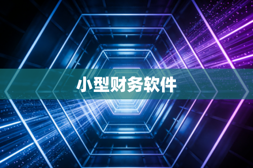 小型财务软件