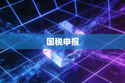 国税申报