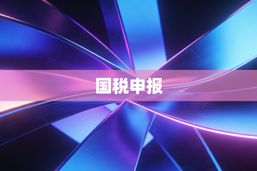 国税申报