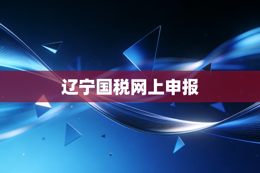 辽宁国税网上申报