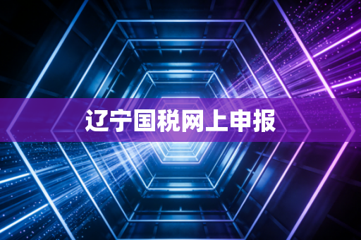 辽宁国税网上申报