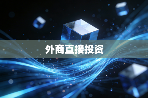 详细阅读:外商直接投资 外商直接投资