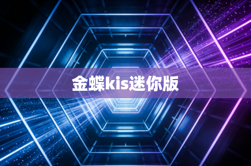 金蝶kis迷你版
