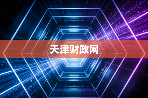 天津财政网