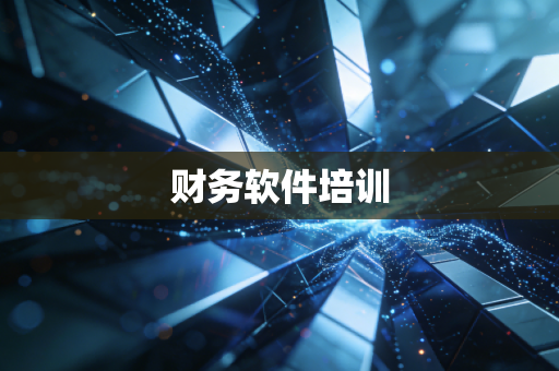 财务软件培训