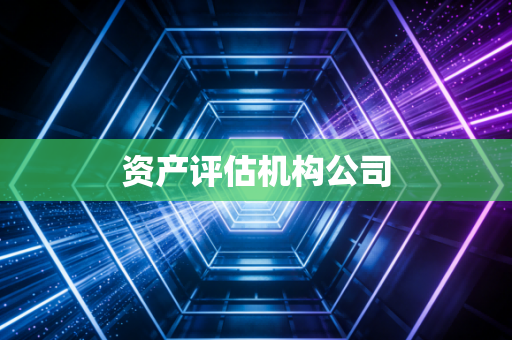 资产评估机构公司