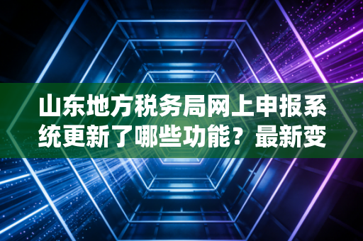 山东地方税务局网上申报系统更新了哪些功能？最新变化详解