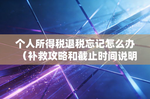 个人所得税退税忘记怎么办(补救攻略和截止时间说明)