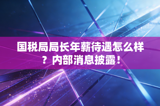 国税局局长年薪待遇怎么样？内部消息披露！