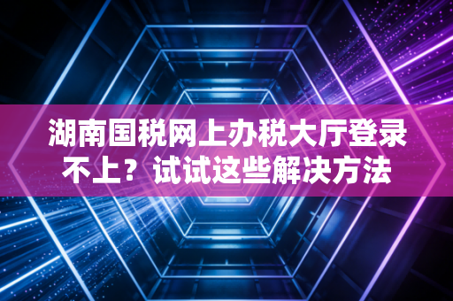 湖南国税网上办税大厅登录不上？试试这些解决方法