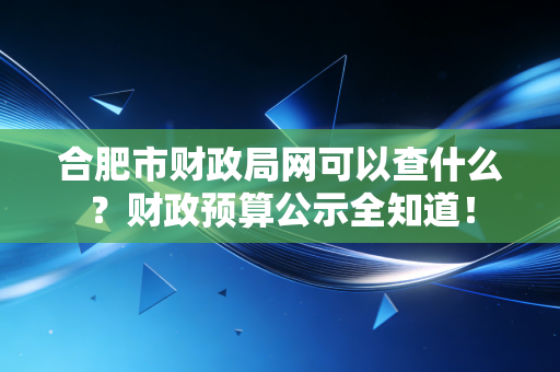 合肥市财政局网可以查什么？财政预算公示全知道！