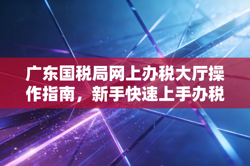 广东国税局网上办税大厅操作指南，新手快速上手办税！
