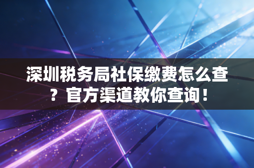 深圳税务局社保缴费怎么查？官方渠道教你查询！