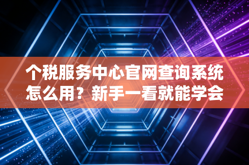 个税服务中心官网查询系统怎么用？新手一看就能学会！