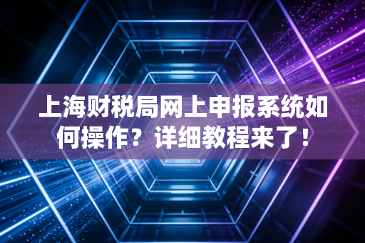 上海财税局网上申报系统如何操作?详细教程来了!