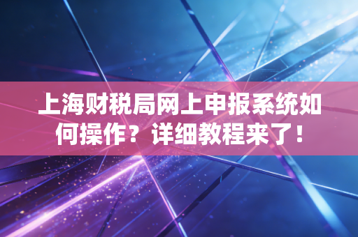 上海财税局网上申报系统如何操作？详细教程来了！