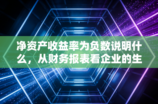 净资产收益率为负数说明什么，从财务报表看企业的生死时速