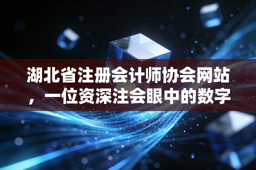 湖北省注册会计师协会网站，一位资深注会眼中的数字灯塔与执业生涯的酸甜苦辣