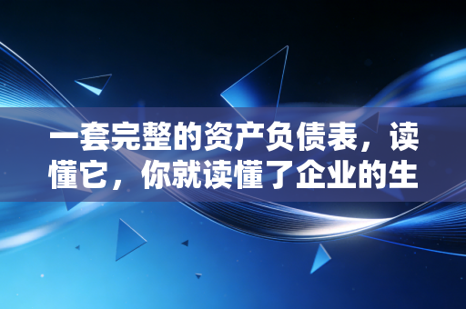 一套完整的资产负债表，读懂它，你就读懂了企业的生死命门