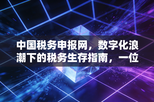 中国税务申报网，数字化浪潮下的税务生存指南，一位注册会计师的肺腑之言