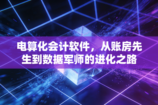 电算化会计软件，从账房先生到数据军师的进化之路