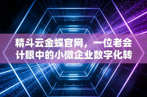精斗云金蝶官网，一位老会计眼中的小微企业数字化转型与财税避坑指南