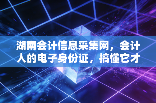 湖南会计信息采集网，会计人的电子身份证，搞懂它才算真正入行