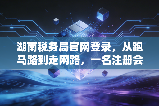 湖南税务局官网登录，从跑马路到走网路，一名注册会计师眼中的税务数字化变迁