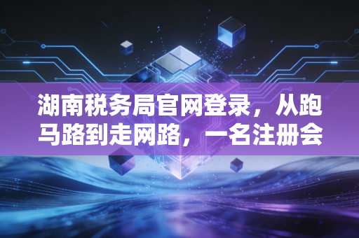 湖南税务局官网登录，从跑马路到走网路，一名注册会计师眼中的税务数字化变迁