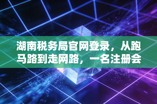 湖南税务局官网登录，从跑马路到走网路，一名注册会计师眼中的税务数字化变迁
