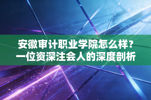 安徽审计职业学院怎么样？一位资深注会人的深度剖析与报考建议