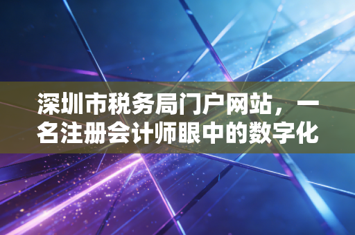 深圳市税务局门户网站，一名注册会计师眼中的数字化办税深体验