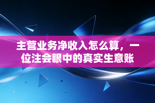 主营业务净收入怎么算，一位注会眼中的真实生意账